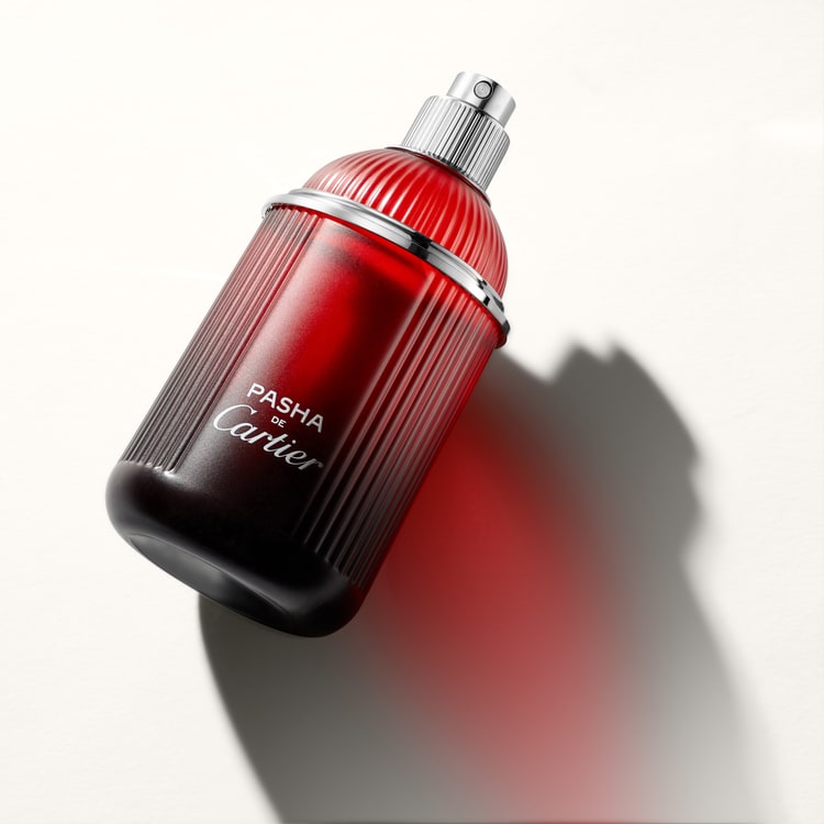 Pasha de Cartier Noire Sport